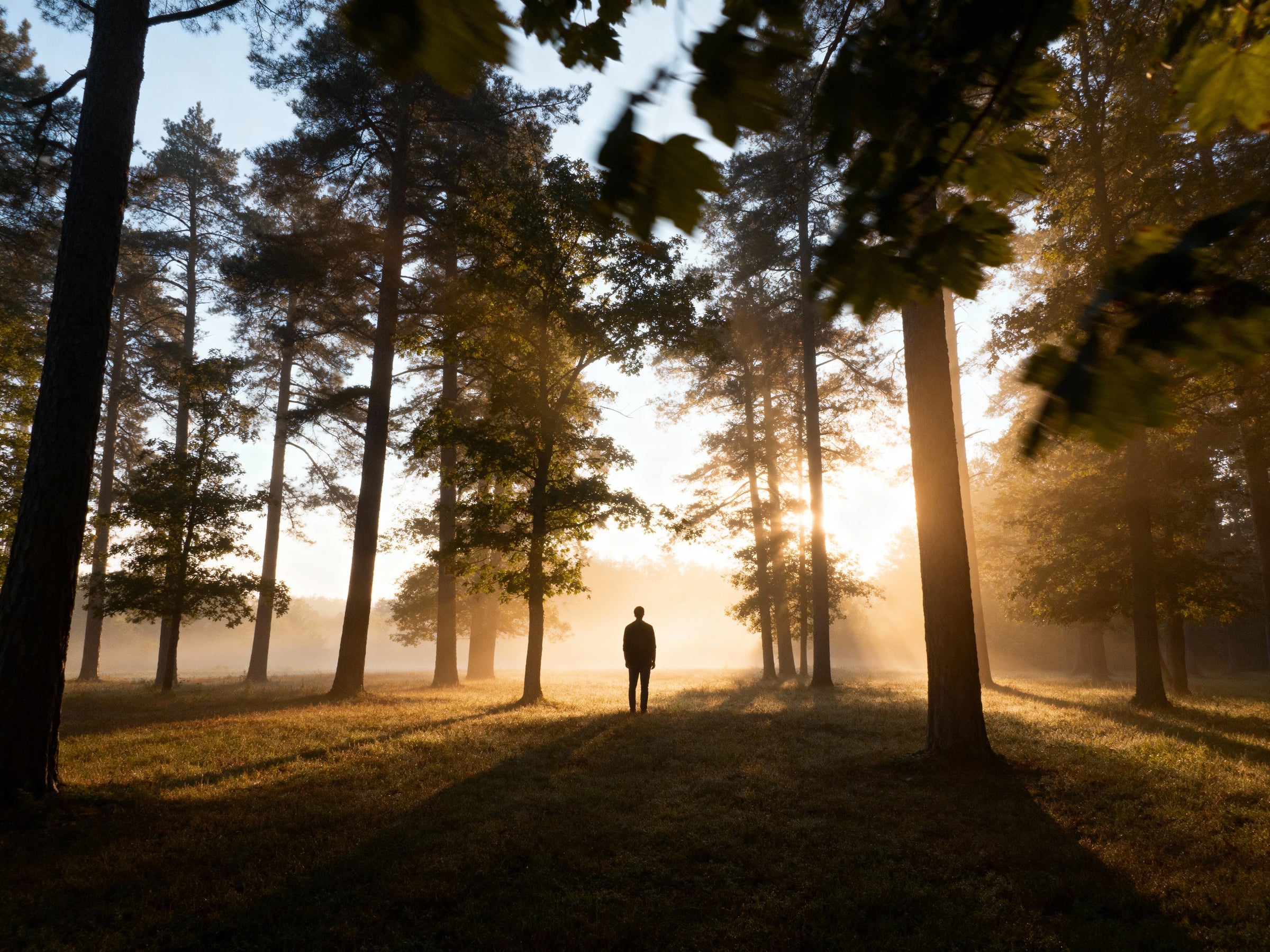 Realizing God in a Distracting World