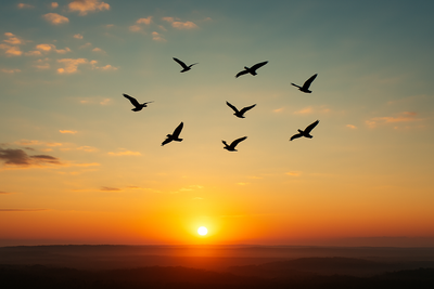 Are We Enjoying Life — or Enjoying Iman?